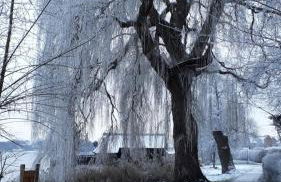 Appartements am Schaalsee - Foto 33