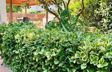 La Casetta di Marika - Foto 8