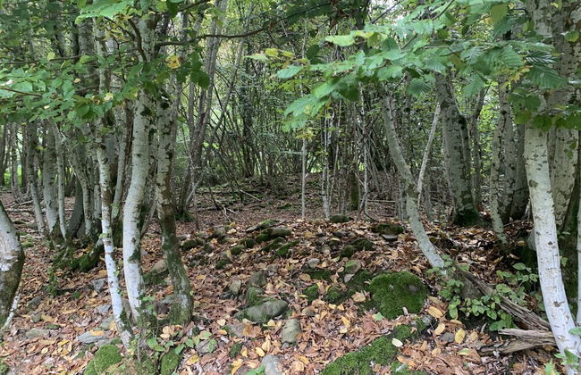 Remarkable 6 Bedrooms Villapiemonte With Land - Foto 20