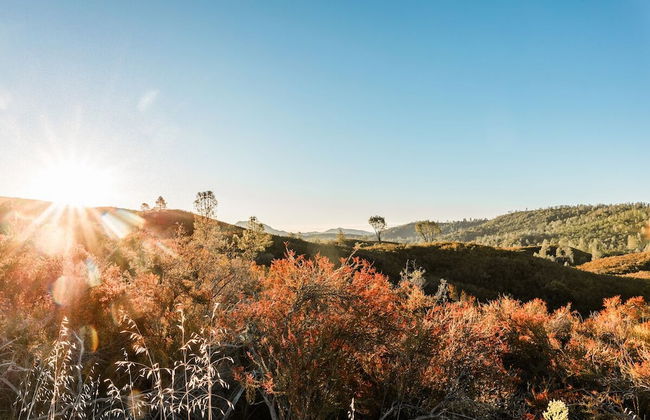 Huttopia Wine Country - Foto 38