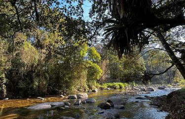 Casa em Visconde De Mauá, Terrário da Montanha - Foto 19