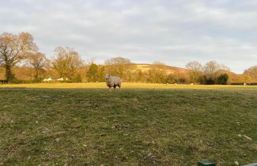 Caer Fedwen Barns Cariad Spacious self catering 3 bed Group Getaway Luxury Cottage with Private Hot Tub - Foto 29