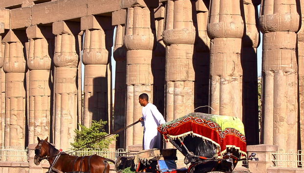 Passeio de charrete por Luxor