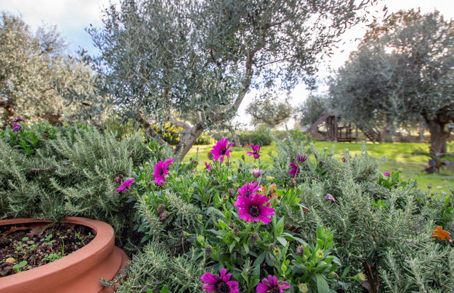 Casale Vincenzo - Foto 32