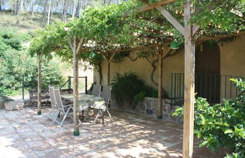 Mas Puig Roig - Foto 41