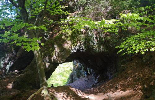 Am Sandberg - Foto 27