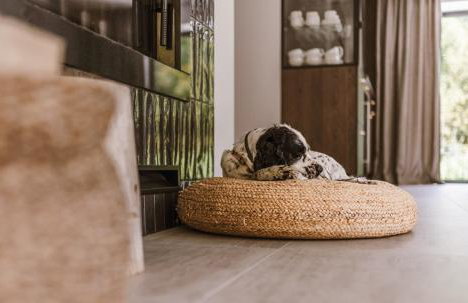 Rycerki Dom na Szlaku - Foto 80