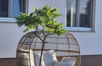 House4Seasons - Foto 48