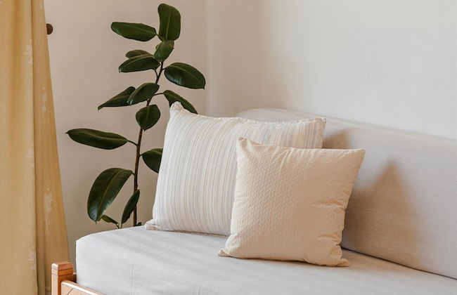 Century Resort - Foto 80