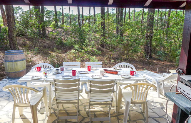 Les Sylvaines - Foto 21