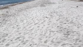 Casa Sa Murta - Foto 3