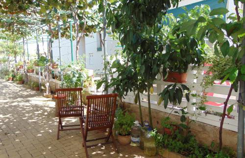 Apartments Petra - Photo 8