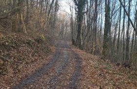 Zagorski San - Foto 63