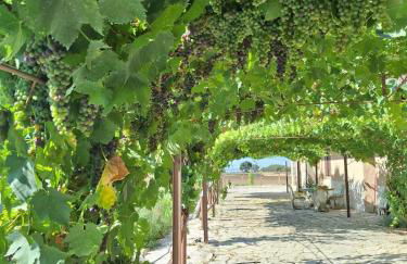 La Foresteria di Podere Muracciolo - Foto 30