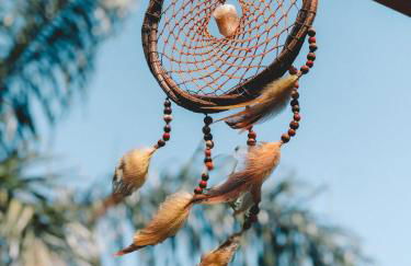 Casas de Vidro - Hospedar com Propósito - Foto 80