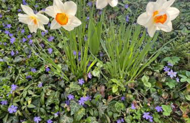 NEW Spacious House with large garden - Foto 69