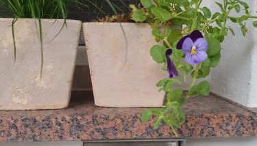 Ferienwohnung Sautter - Foto 3, Other