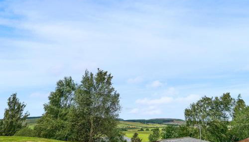 The Curious Stag - Foto 5