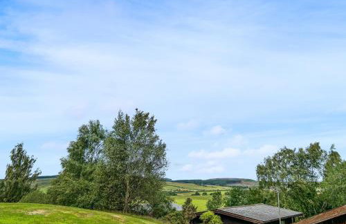 The Curious Stag - Foto 5