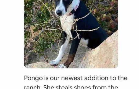 Pacific Coast Hwy Bunkhouse in San Luis Obispo - Foto 11