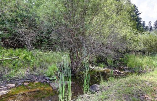 5 Miles from Mt- Rushmore with private hot tub - Foto 47