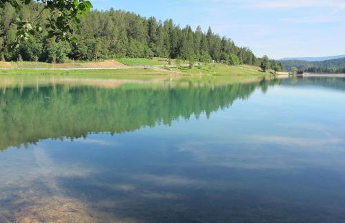 Apartment Pancheri by Interhome - Foto 47