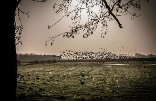 Kleines Mehr - Foto 8