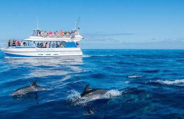 Gran Amadores - Foto 38