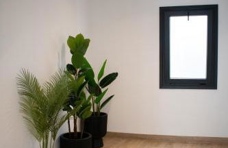 Surya home centro - Foto 18