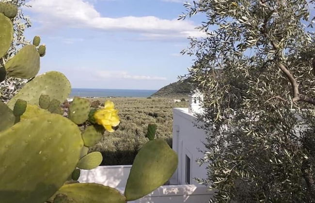 Agriturismo Giorgio - Foto 59