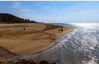 Appartement avec piscine près de Honfleur - Photo 36