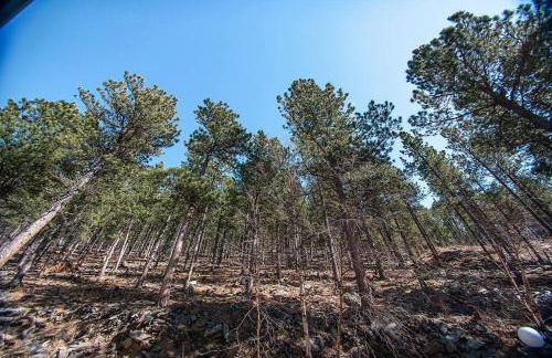 Holliday House - Foto 10