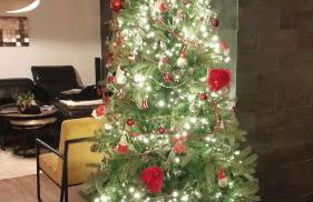 Tout proche d'Ax les Thermes détente et relaxation jusqu'à 8 pers dans la maison de Véronique avec piscine terrain de pétanque et jacuzzi - Foto 12