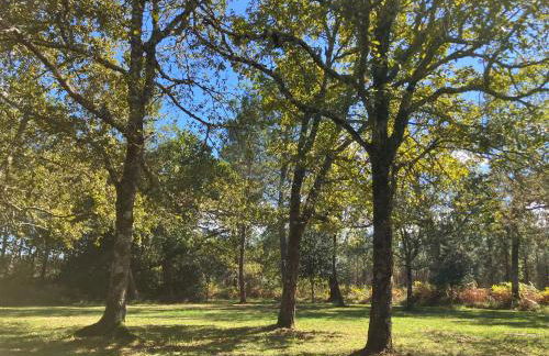 Maison en forêt, calme, proche village et piste cyclable - meublé 3 étoiles - Foto 4