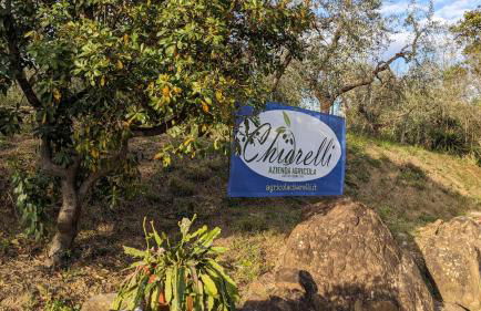 Agriturismo Amici Miei - Foto 18