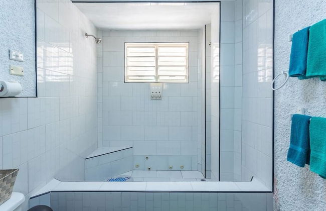 Boutique Vedado Villa - Photo 75