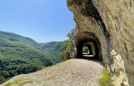 Le pied-à-terre du botaniste - Foto 16