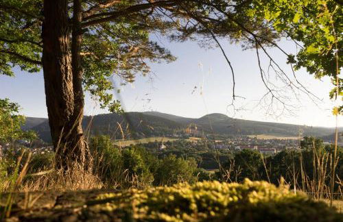 Tom´s Ferienappartements - Photo 15