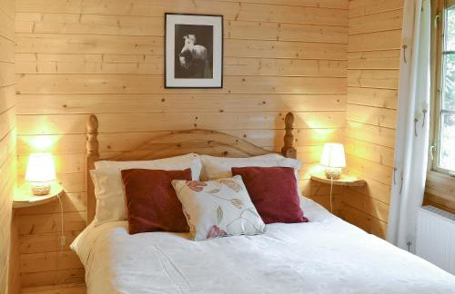 Forest Lodge - Foto 9