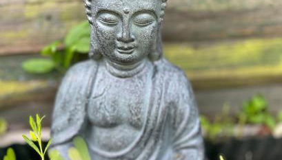 Happy Place Ferienwohnung mit Moselpanoramablick, Dachterrasse und Sauna - Foto 4, Garden