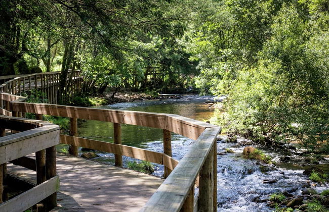 Holiday Home in Ponte de Lima With Pool - Foto 27