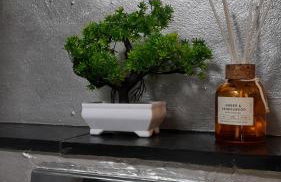 Modernes 2-Zimmer-Apartment in der Altstadt - Photo 44