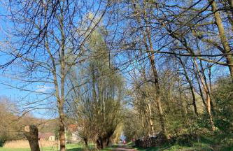 Ferienwohnung Bienwald mit Pool für 4 - 6 Personen mit 3 Schlafzimmern - Foto 46