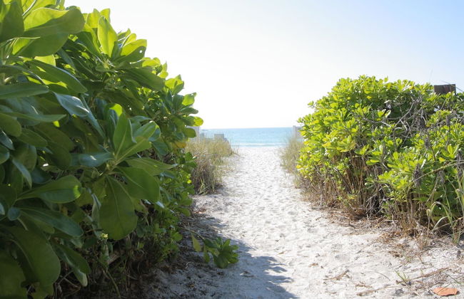 Beach Castle Resort by RVA - Foto 68