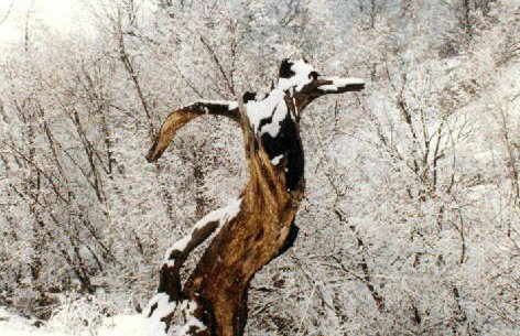 Villa Kastanodasos - Foto 27