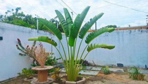 Casa Costa & França - Foto 2