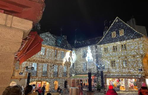 Charmant studio avec terrasse hyper-centre de Vannes à 5 min du Port et des Remparts - Foto 25