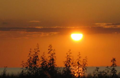 Appartmentanlage Zur Düne - Foto 61