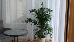 Ferienwohnung Steffen - Photo 2