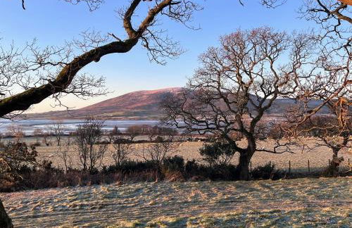 The Treehouse Caerlaverock - Uk45028 - Foto 15